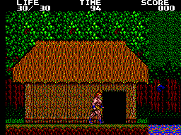 Danan - The Jungle Fighter (Europe) In game screenshot